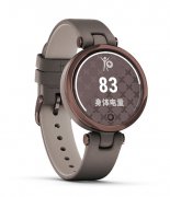 
	佳明發布智能腕表Lily：專門針對女性設計 售價1580元起
