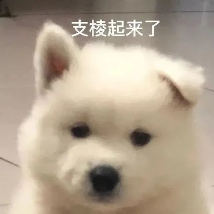 鋼鐵直男的520奇葩禮物，這份愛牢固得像不銹鋼！