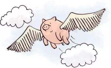 風停了豬死了,半空中跌落的小米摔得鼻青臉腫3
