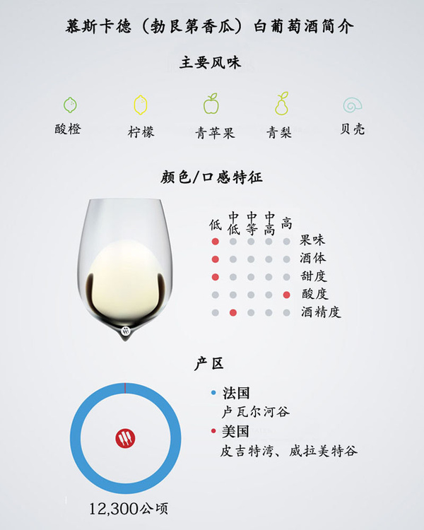 你不得不知的慕斯卡德白葡萄酒常識1