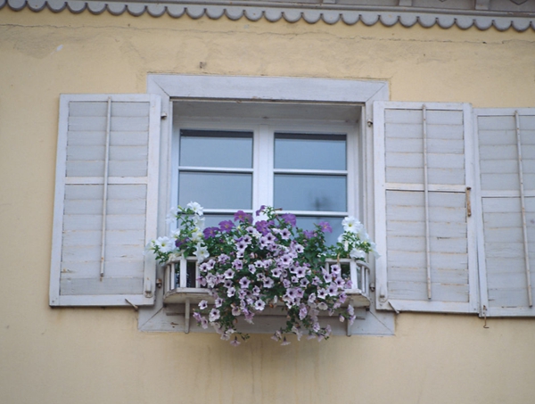 塑鋼門窗哪家好 塑鋼門窗十大品牌排行榜