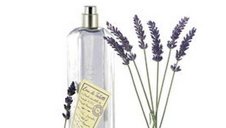 loccitane香水logo