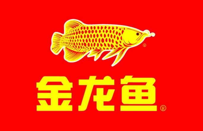 金龍魚