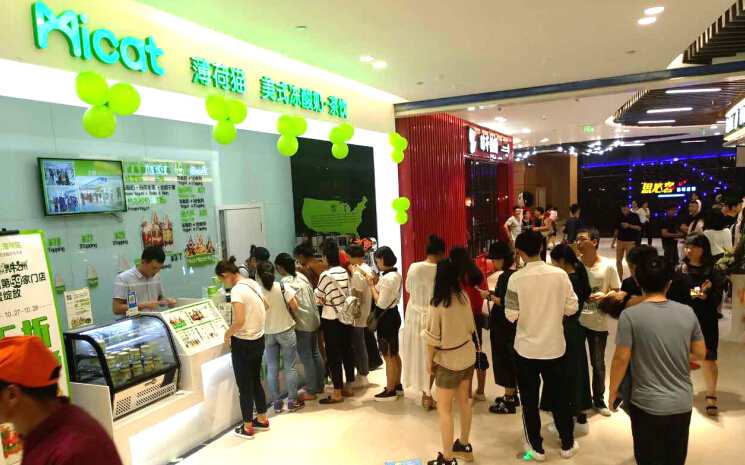 Micat薄荷貓美式凍酸奶 Micat薄荷貓美式凍酸奶