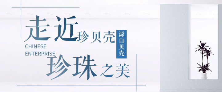 珍貝殼貝殼粉 珍貝殼貝殼粉