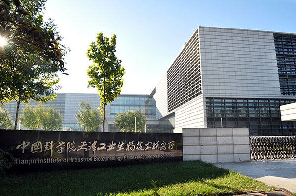 貝殼空間貝殼粉 貝殼空間貝殼粉