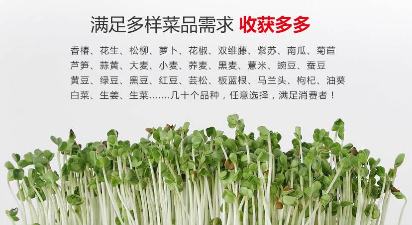 綠尚芽苗菜 綠尚芽苗菜