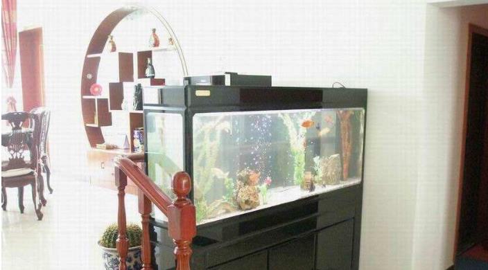 美景創意生態水族