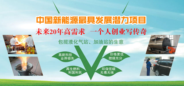 盛鑫源新型燃料