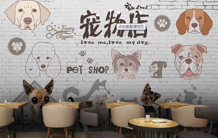 寵物店加盟哪個品牌好 寵物店加盟十大品牌排名