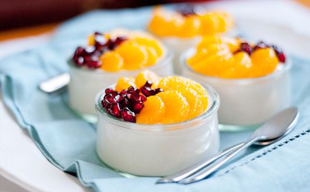 酸奶加盟店10大品牌