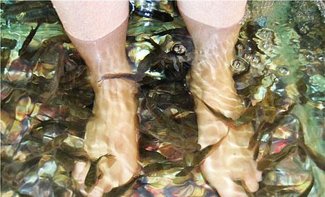 十大受歡迎的魚療館加盟品牌推薦