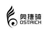 奧捷騎OSDRICH平衡車