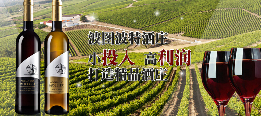 波圖波特酒莊