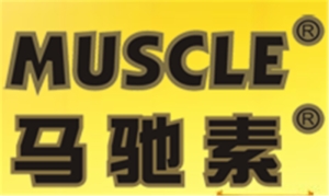 馬馳素潤滑油