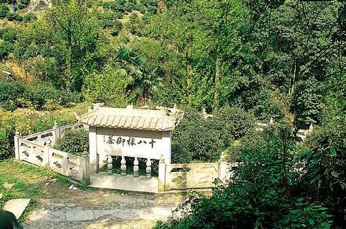 中國十大名貴茶葉