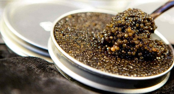 10大世界最珍稀的食物排行榜4