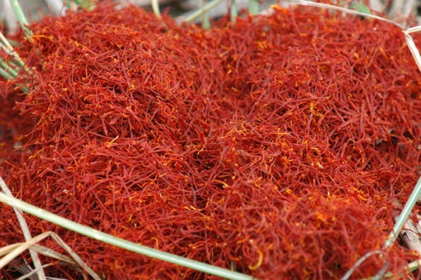 10大世界最珍稀的食物排行榜10