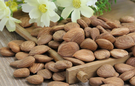 2016年干貨/堅果十大品牌影響力排行1