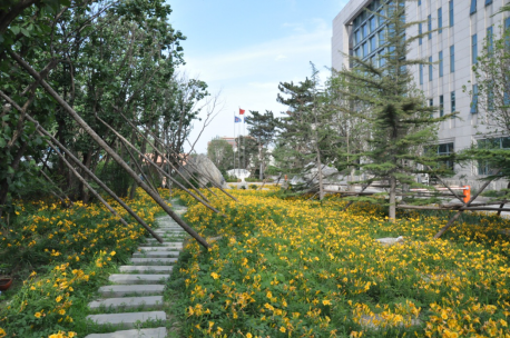 美巢集團榮登2016年度中國膩子粉十大品牌榜首3