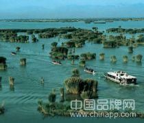 沙湖