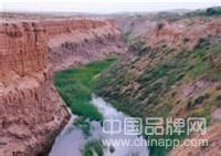 寧夏靈武長流水生態旅游區
