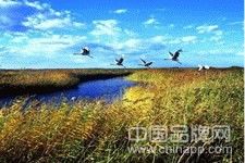 寧夏閱海濕地旅游