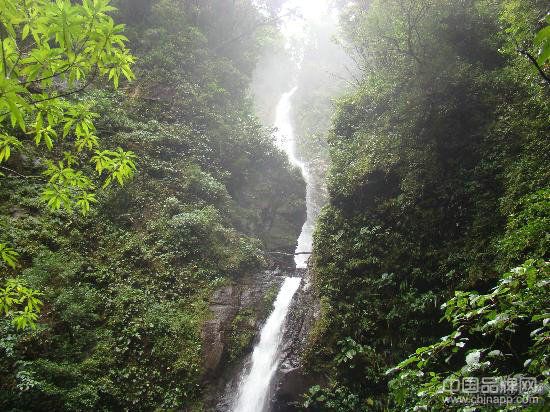 Santa Elena and Monteverde Cloud森林保護區(哥斯達黎加)