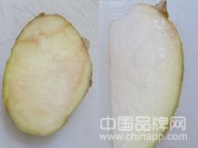 FANCL速凈卸妝液