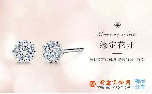 你了解琥珀嗎？影響琥珀價格表的價格原因有哪