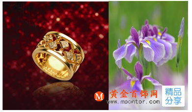 
七夕季鑒賞各式國花戒指