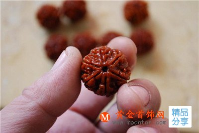 六瓣金剛菩提子有什么寓意 佩戴六瓣金剛菩提子代表的意義