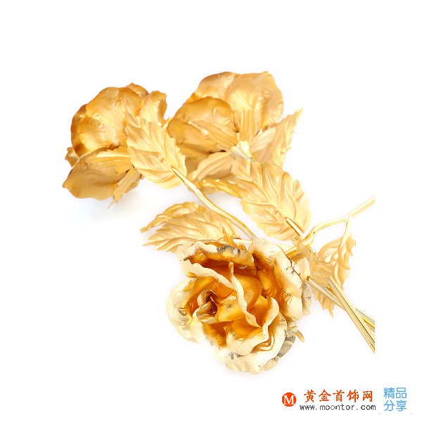 金箔玫瑰花圖片 金箔玫瑰花圖片大全
