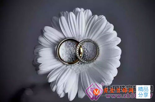 
	據說99%的人都不知道，白金和鉑金不是同一種東西！
