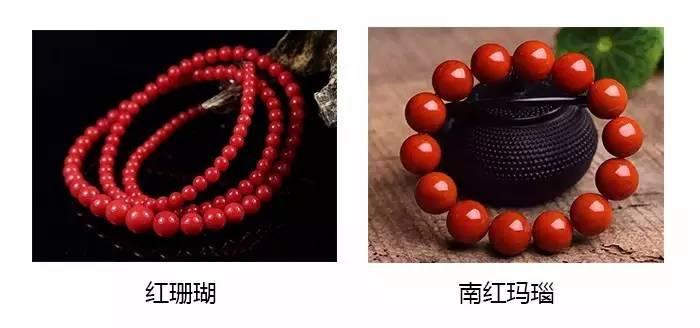珊瑚的價格-珊瑚種類名稱及圖片-珊瑚的優化和處理