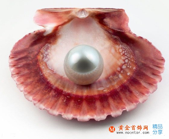 
	南洋珍珠、Akoya珍珠、大溪地珍珠 那個產地的珍珠好？
