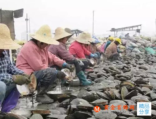 
	好珍珠為什么這么貴？我來告訴你答案
