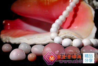 
	海螺珍珠是怎么形成的？海螺珍珠的特點
