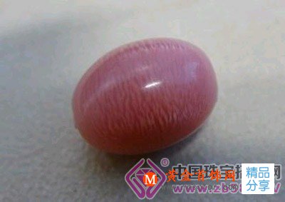 
	海螺珍珠是怎么形成的？海螺珍珠的特點

