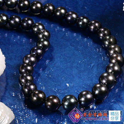 
	什么是海珍珠？海珍珠有什么藥用功效？
