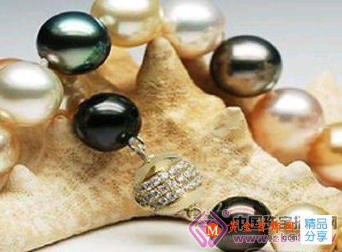 
	什么是海珍珠？海珍珠有什么藥用功效？
