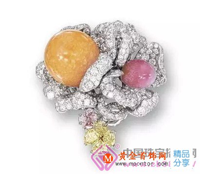 
	自然天成的海螺珍珠
