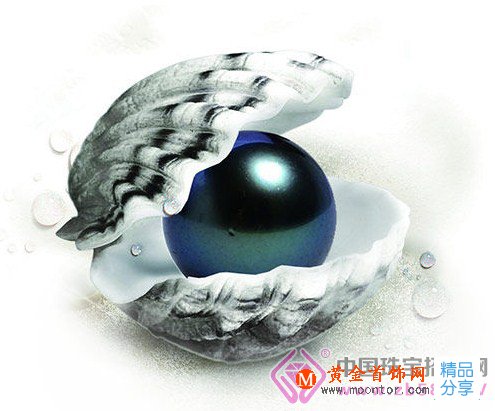
	斐濟黑珍珠價格多少錢？斐濟黑珍珠的圖片
