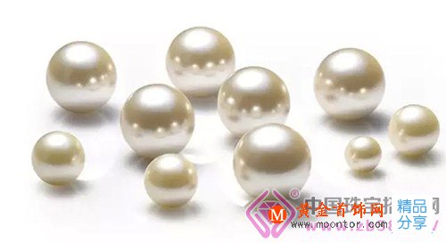 
	同是珍珠，價格卻相差100倍，您看準了嗎？
