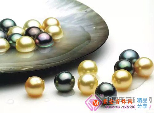 
	冬天里的溫柔——珍珠
