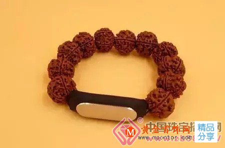 
	金剛菩提版小米手串，如此的高大上，你也來一串？
