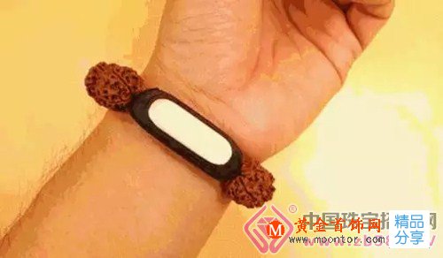 
	金剛菩提版小米手串，如此的高大上，你也來一串？
