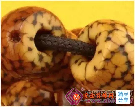 
	星月黑名單!這幾種星月菩提誰入手誰吃虧!
