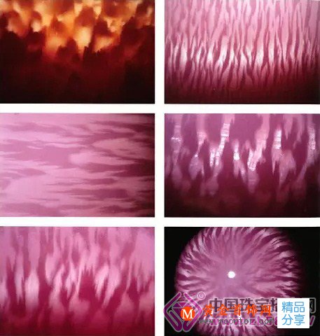 
	珍稀的粉色火焰——海螺珍珠
