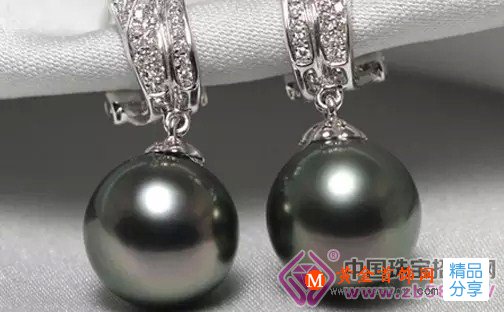 
	震驚了！一顆黑珍珠值1萬美元！
